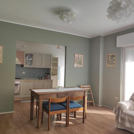 Casa Botta. Ampio Appartamento Luminoso E Confortevole 莫尔贝尼奥 外观 照片